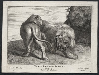 varios leones de Abraham Blooteling