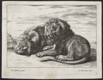 varios leones de Abraham Blooteling