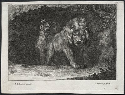 varios leones de Abraham Blooteling
