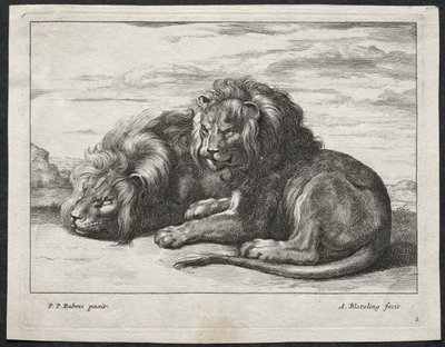 Varios leones de Abraham Blooteling
