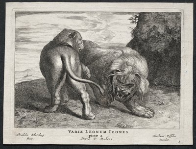 Varios leones de Abraham Blooteling