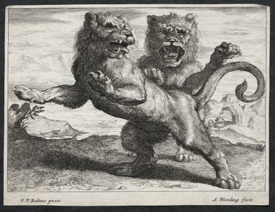 Varios leones de Abraham Blooteling