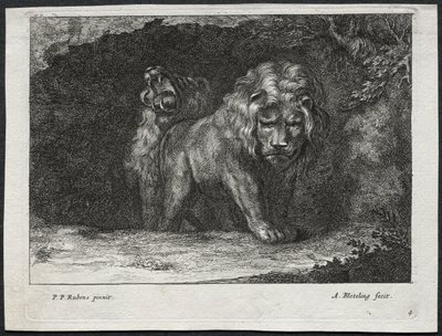 Varios leones de Abraham Blooteling