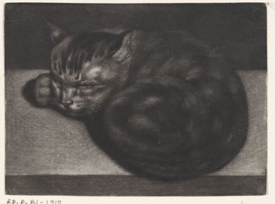 gato durmiendo de Abraham Bloteling