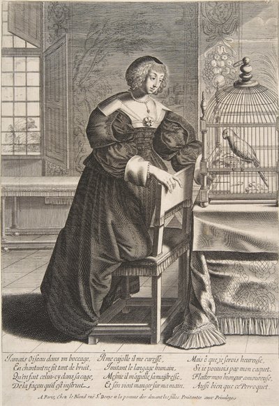 El loro, 1620-76 de Abraham Bosse