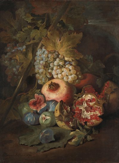 Racimos de uvas, granadas e higos en un paisaje de Abraham Brueghel