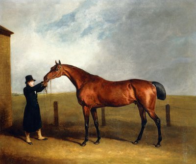 El potro Truffle del coronel Udny por Sorcerer sostenido por un mozo de cuadra, 1815 de Abraham Cooper
