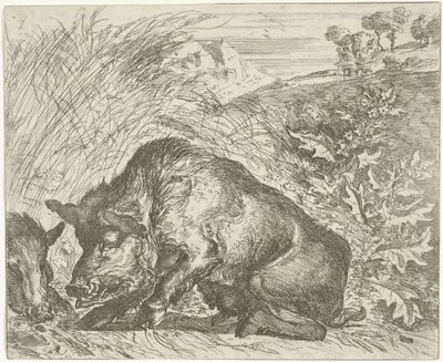 Jabalí Diferentes animales (título de la serie) de Abraham Danielsz. Hondius