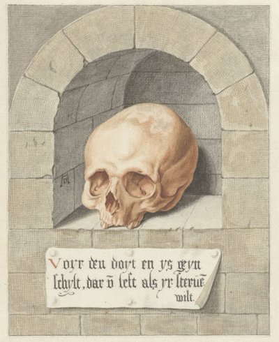 Cráneo en un nicho de Abraham Delfos