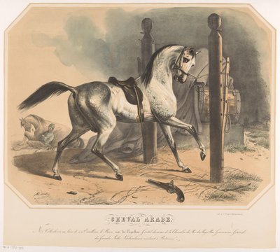 Caballo árabe de Godert van der Capellen Cheval Arabe (título sobre el objeto) de Abraham Hendrik Winter