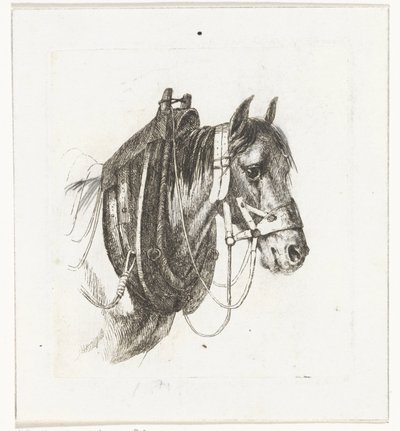Cabeza de caballo con brida, arnés y silla de montar de Abraham Hendrik Winter