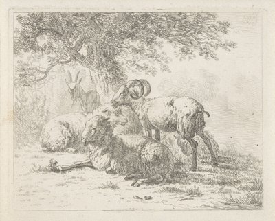 oveja y una cabra de Abraham Hendrik Winter