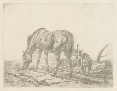 Caballo sin entrenar con un arado de Abraham Hendrik Winter