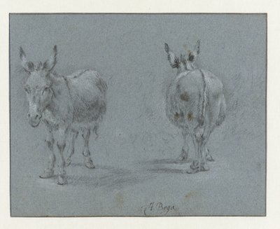 Dos estudios de un burro, visto de frente y por detrás de Abraham Jansz Begeyn