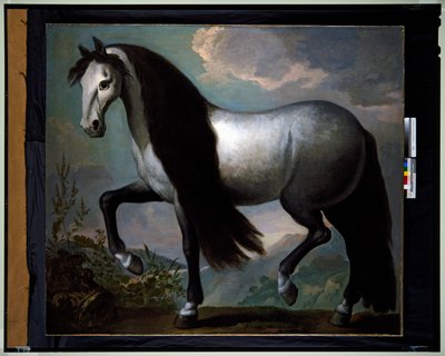 Caballo en un paisaje de Abraham Jansz. van Diepenbeeck