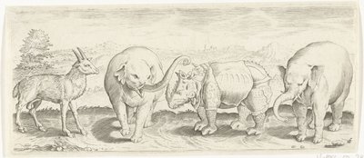 Gacela, elefante y rinoceronte Animales (título de la serie) de Abraham de Bruyn (possibly)