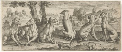 perros Animales (título de la serie) de Abraham de Bruyn (possibly)