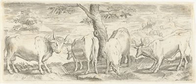 Vacas, un toro y un buey Animales (título de la serie) de Abraham de Bruyn (possibly)