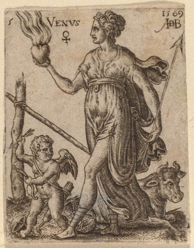 Venus de Abraham de Bruyn