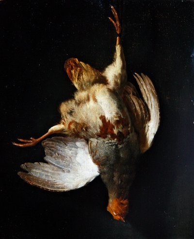 Naturaleza muerta con una perdiz colgando de un clavo de Abraham van Calraet