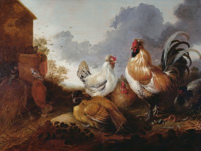Aves de corral en un corral de Abraham van Calraet