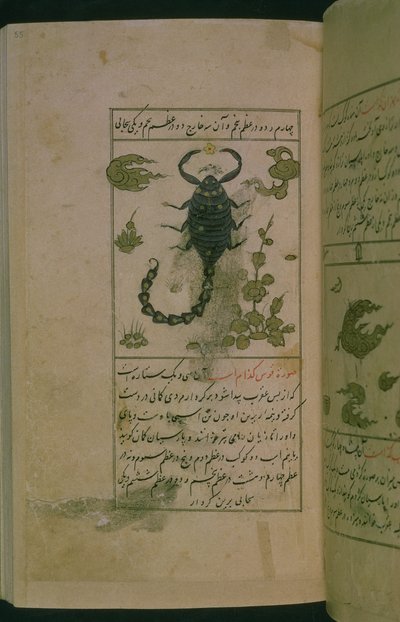 Constelaciones del zodiaco: Escorpio, el escorpión, de Talim dar marifat i taqvuim, 1498 (903 Hijra) de Abu Jafar al Tabari