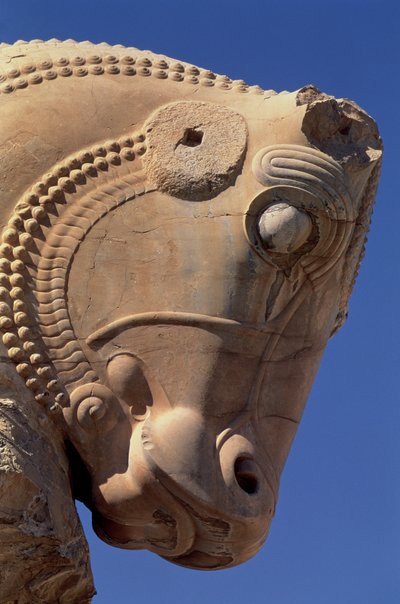 Cabeza de toro en el pórtico norte del Salón del Trono de Jerjes de Achaemenid
