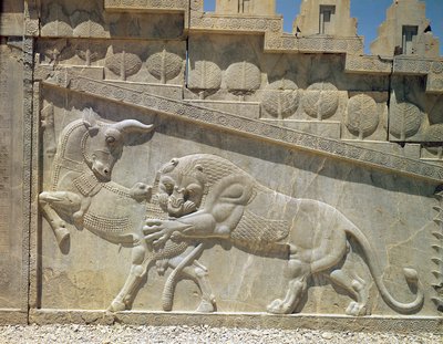 León luchando contra un toro, relieve en la escalera este de la Apadana, Período Aqueménida, c.515 a.C. de Achaemenid