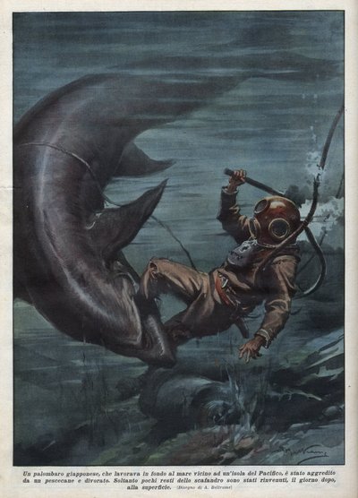 Un buzo japonés con un escafandro fue devorado por un tiburón en el Océano Pacífico. Ilustración de Achille Beltrame de 