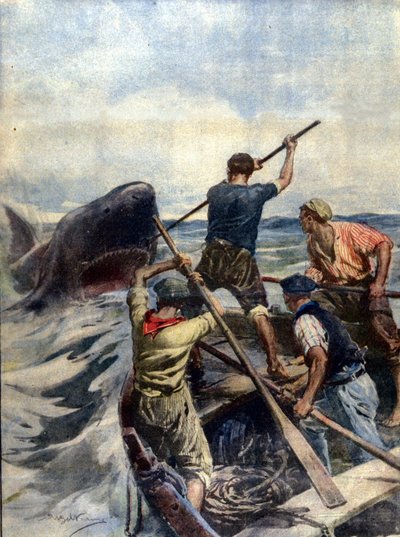 Un enfrentamiento entre pescadores sicilianos y un enorme tiburón tigre terminó con la captura del monstruo marino que pesaba 12 quintales. Ilustración de A. Beltrame. La Domenica del Corriere. 1908. de Achille Beltrame