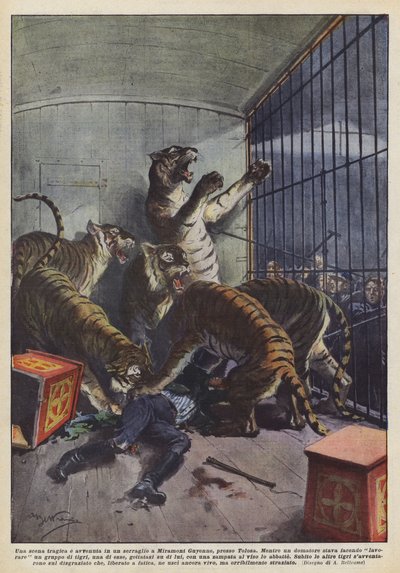 Una escena trágica tuvo lugar en una casa de fieras de Miramont Guyenne, cerca de Toulouse. de Achille Beltrame
