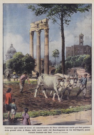 ¡Cultivar cada pedazo de tierra! de Achille Beltrame