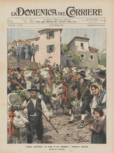 Costumbres características, un desfile de toros romañolos en Pontecorvo (Caserta) de Achille Beltrame