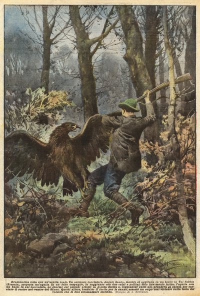 Lucha dramática con un águila real de Achille Beltrame