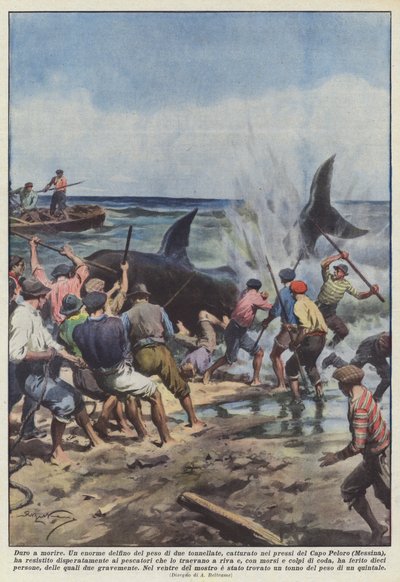 Duro de matar de Achille Beltrame