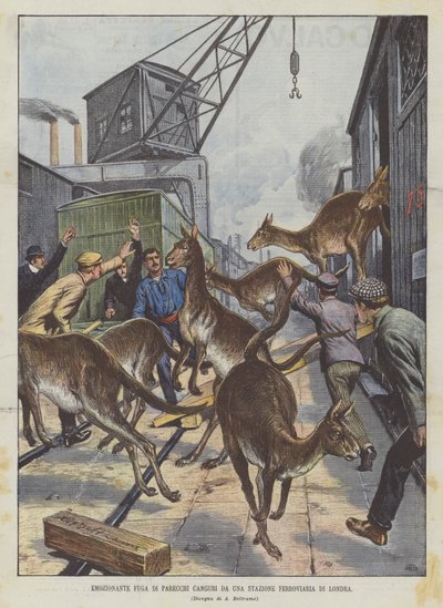 Emocionante fuga de varios canguros de una estación ferroviaria de Londres de Achille Beltrame