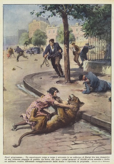Fuera de programa de Achille Beltrame