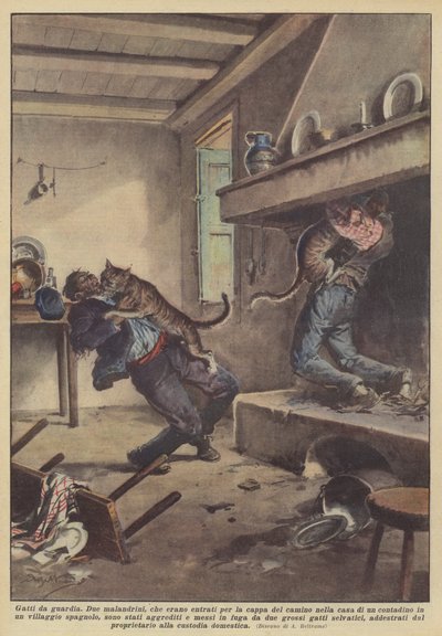 Gatos guardianes de Achille Beltrame
