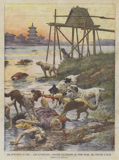 Los acontecimientos en China, los perros disputan los cadáveres flotantes en el río Pei-Ho, entre Tien-Tsin y Ta-Ku de Achille Beltrame