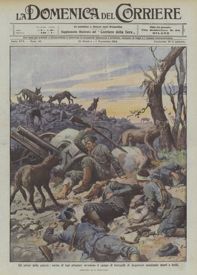 Los horrores de la guerra, hordas de lobos hambrientos invaden el campo de batalla de Augustow atacando muertos y heridos de Achille Beltrame