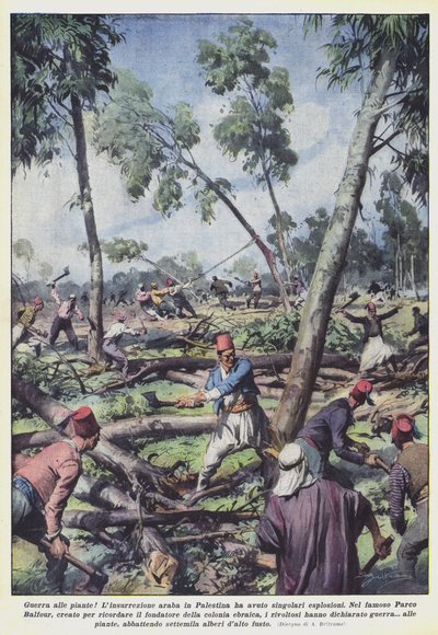 ¡Guerra a las plantas! de Achille Beltrame