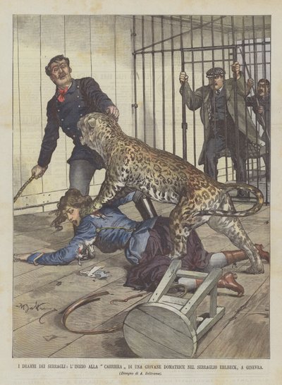 Los Dramas de los Circos, El Inicio de la Carrera de una Joven Domadora en el Circo Ehlbeck, en Ginebra de Achille Beltrame
