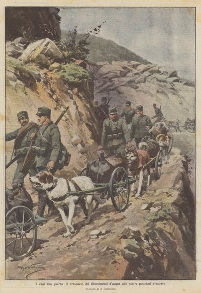 Los perros en la guerra, el transporte de suministros de agua a nuestras posiciones avanzadas de Achille Beltrame