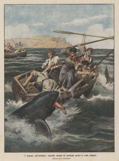 Los dramas del Adriático, niñas atacadas por tiburones cerca de las costas dálmatas de Achille Beltrame
