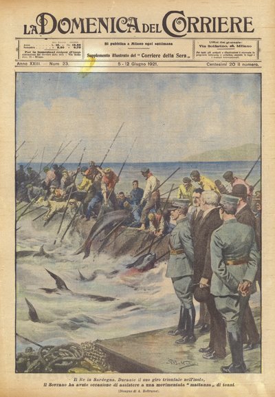 El Rey en Cerdeña de Achille Beltrame