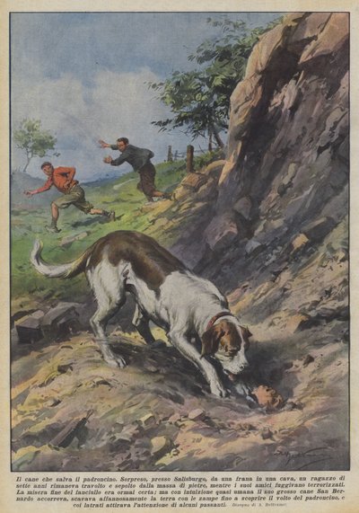 El perro que salva al niño de Achille Beltrame