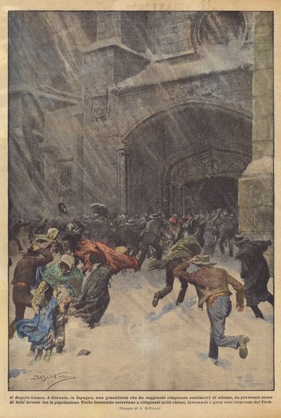 El flagelo blanco de Achille Beltrame