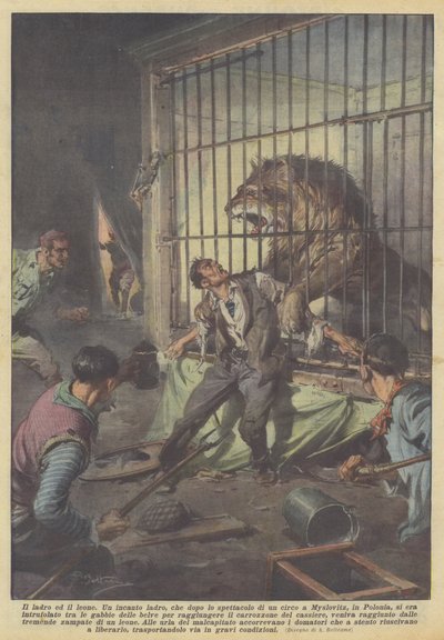 El ladrón y el león de Achille Beltrame