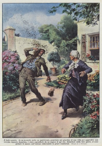 El ladrón castigado de Achille Beltrame
