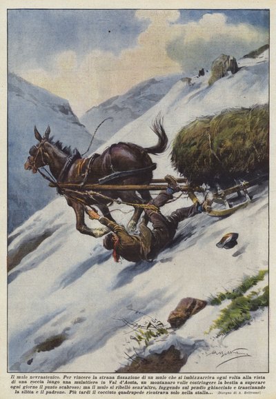 El mulo neurasténico de Achille Beltrame